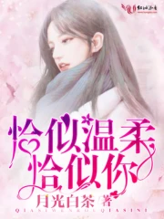 恰似温柔恰似伱